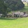 thumbnail, click to enlarge