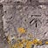 thumbnail, click to enlarge