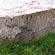 thumbnail, click to enlarge