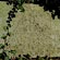 thumbnail, click to enlarge
