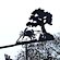 thumbnail, click to enlarge