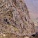 thumbnail, click to enlarge