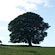 thumbnail, click to enlarge