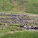 thumbnail, click to enlarge
