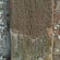 thumbnail, click to enlarge