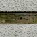 thumbnail, click to enlarge