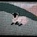 thumbnail, click to enlarge