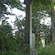 thumbnail, click to enlarge