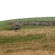 thumbnail, click to enlarge