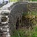 thumbnail, click to enlarge